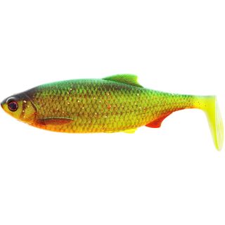 Firetiger Rudd 1Stk.