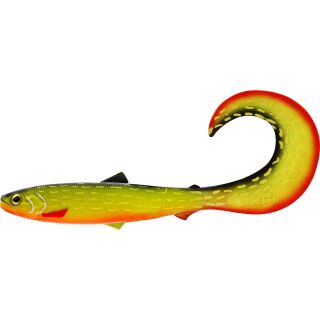 Baltic Pike