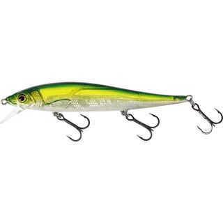 Olive Minnow