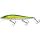 Olive Minnow