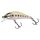 UV Chart Trout