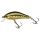 Acid Trout Gold