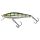 Blue Gill GB