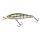 Blue Gill GB