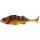 Westin Original Perch 9cm 8g 2Stk.