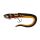 21cm #2 - Burbot