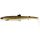 Natural Pike