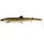 Natural Pike