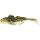 Westin Gunnar the Goby Shadtail 8cm 6,5g 2Stk.  Grundelimitat