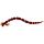 Westin Bloodteez Worm 5,5cm 8Stk.