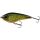 Real Baltic Pike