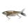 Ghost Trout