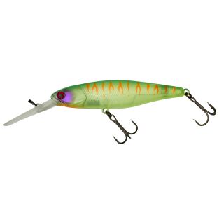 Lime Chart Tiger