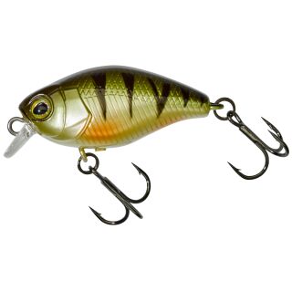 Perch