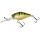 Perch