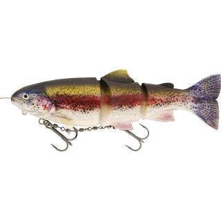 Rainbow Trout
