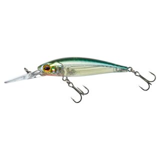 HL Minnow