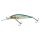 HL Minnow
