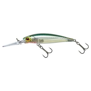 HL Minnow