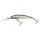 HL Minnow