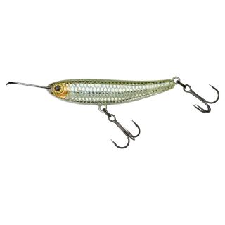 HS Minnow