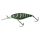 Guripan Craw