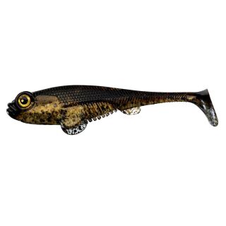 Wild Goby