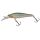 HL Minnow