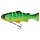 Jackall Vividus 145