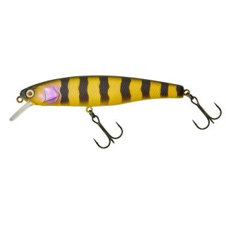 Zander Bee