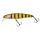 Zander Bee