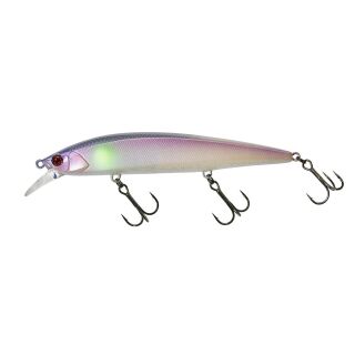 Sea Bass Candy