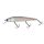 Sea Bass Candy