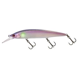 SEA BASS CANDY