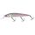 SEA BASS CANDY