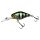 HL Sunfish