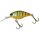 Agressive Perch