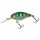 HL Sunfish