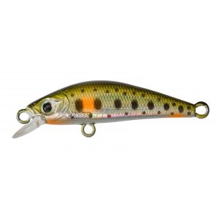 Spot Green Trout