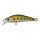 Spot Green Trout
