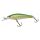 Electric Pike