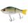 Pike