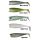 Green Sprat