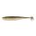 Gold Flash Minnow