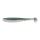 Hasu (Silver Shiner)