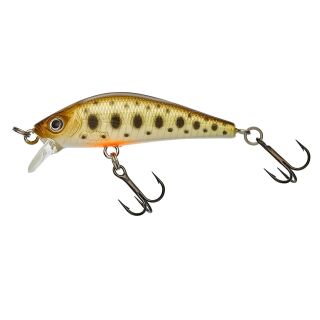 Secret Trout