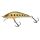 Secret Trout