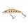 Secret Trout