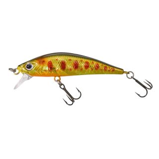 HL Brown Trout