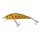 HL Brown Trout